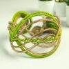Sun - Thumbnail Image 4