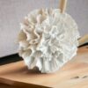 Batonnet diffuseur Moyenne fleur - Thumbnail Image 5