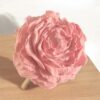 Batonnet diffuseur Moyenne fleur - Thumbnail Image 13