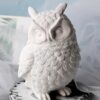 Chouette-Hibou - Thumbnail Image 1