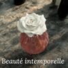 Diffuseur mèche - Thumbnail Image 1
