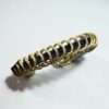 Celina - Thumbnail Image 6